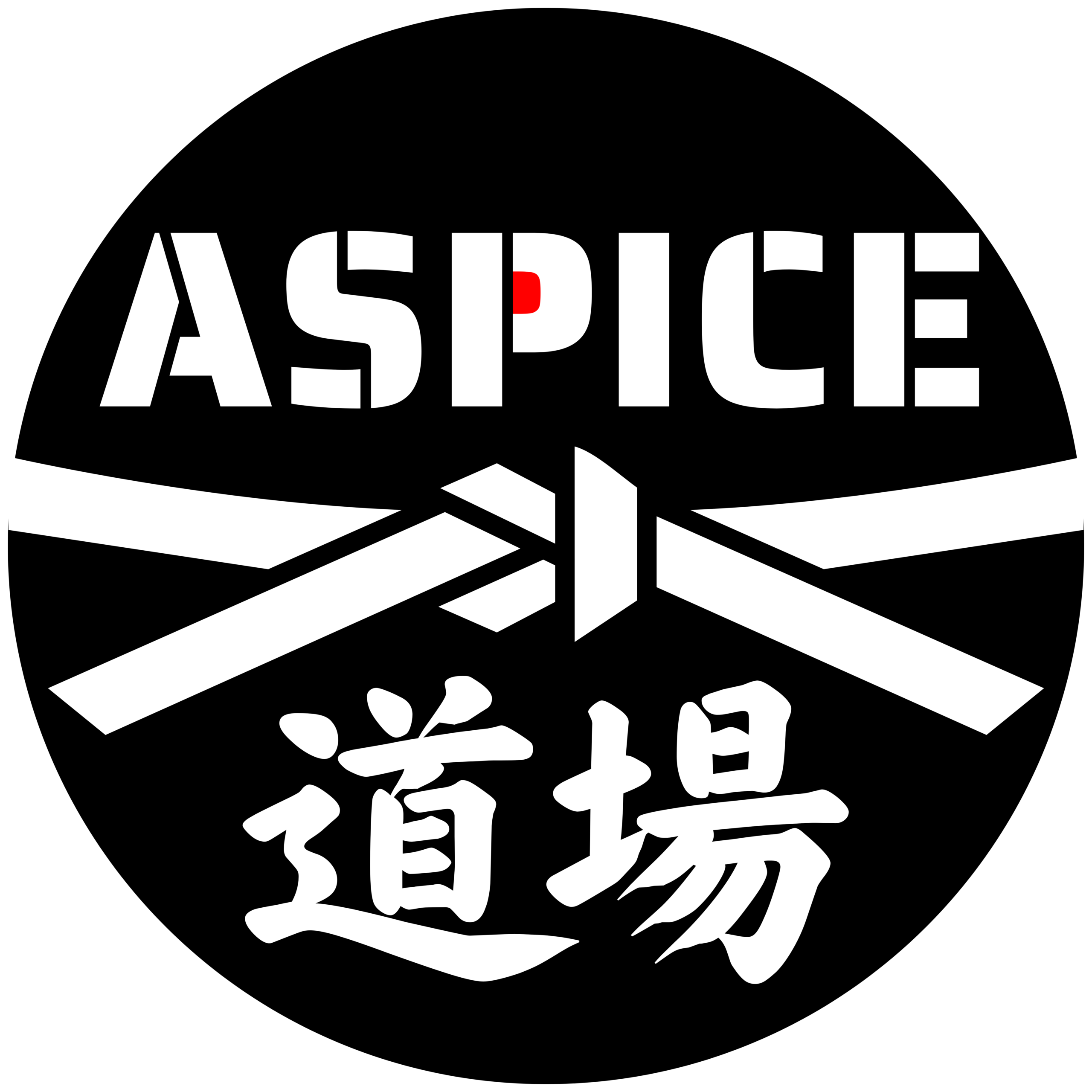 ASPICE道場